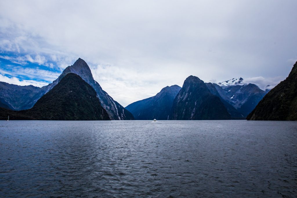 Cruising Milford Sound in New Zealand