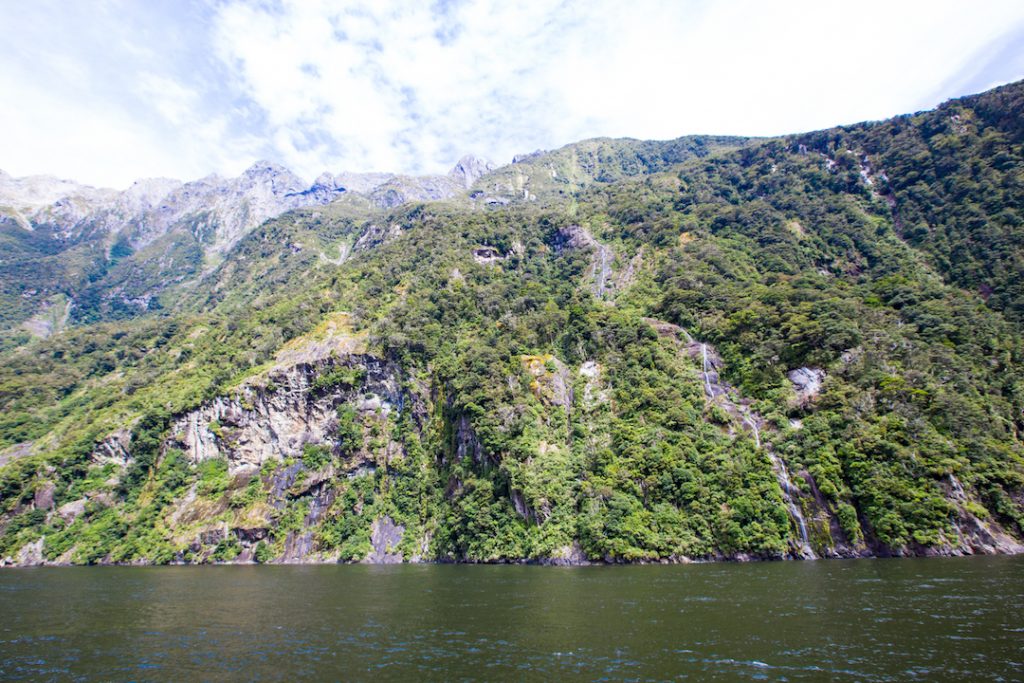 Cruising Milford Sound in New Zealand