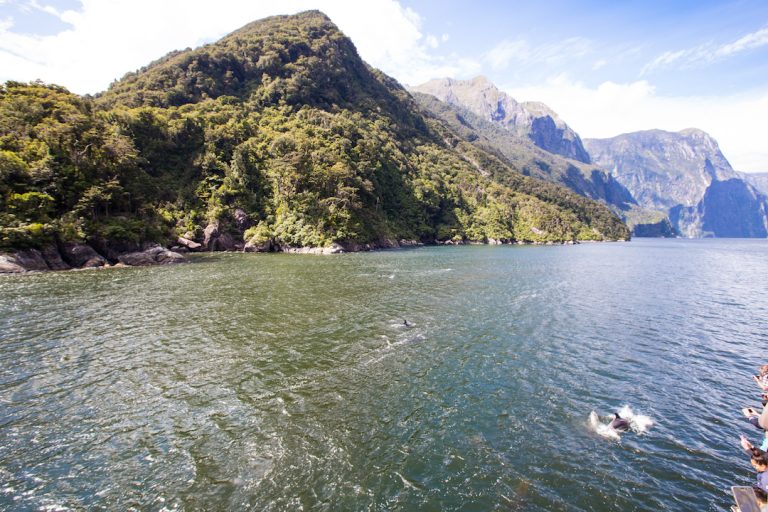 Cruising Milford Sound in New Zealand