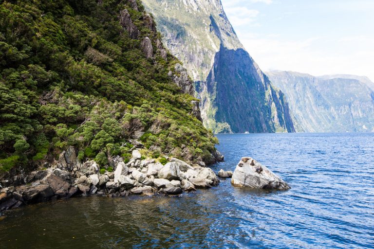Cruising Milford Sound in New Zealand