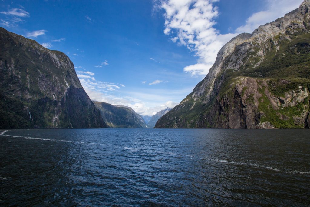 Cruising Milford Sound in New Zealand