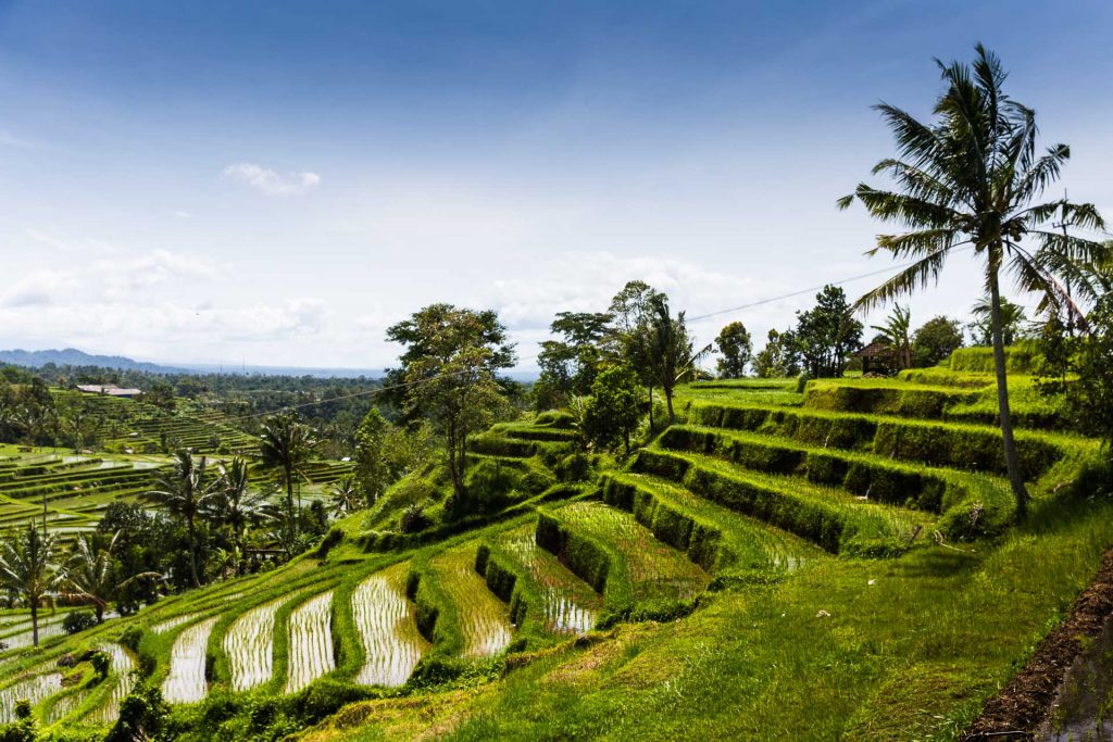 BlueSkyTraveler.Bali_.Jatiluwah-1