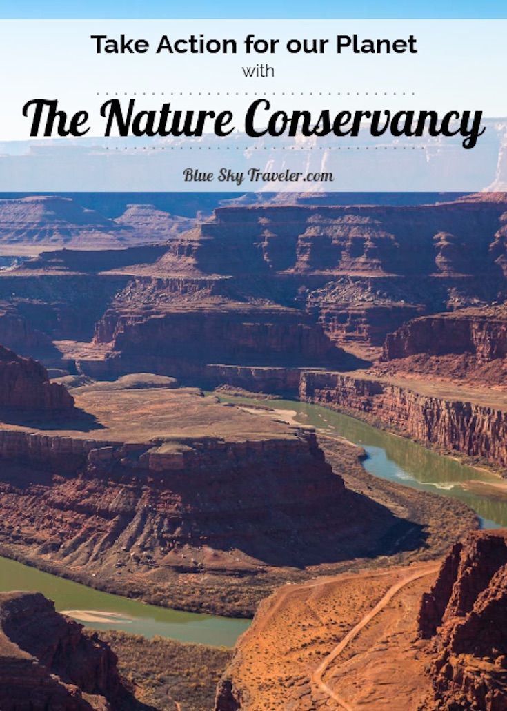 PIN IT - The Nature Conservancy - Reflection in Nature
