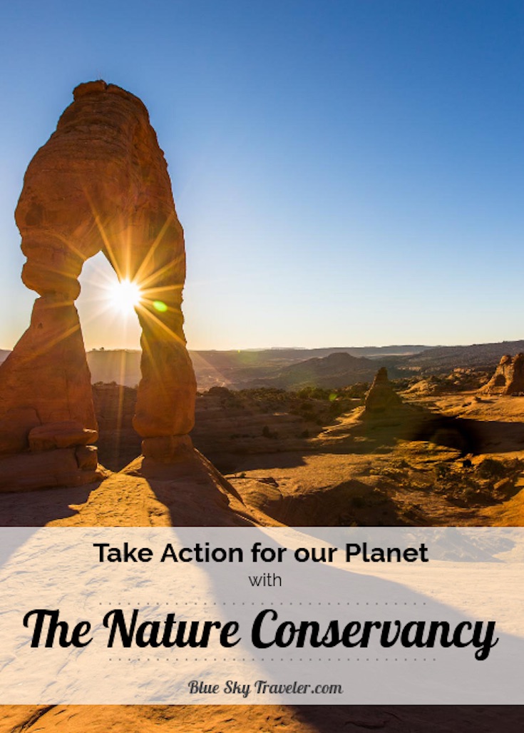 PIN - The Nature Conservancy - Reflection in Nature