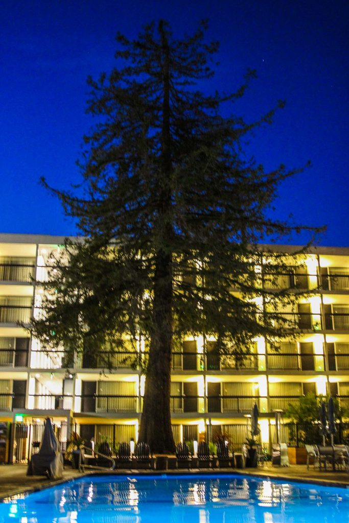 Hotel Paradox