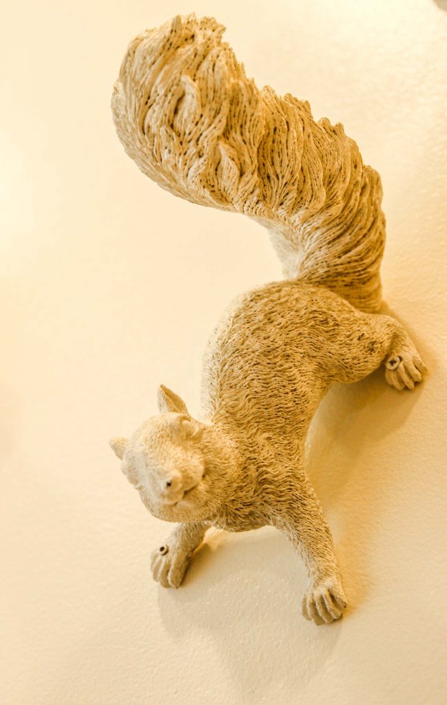 Hotel Paradox Squirrel