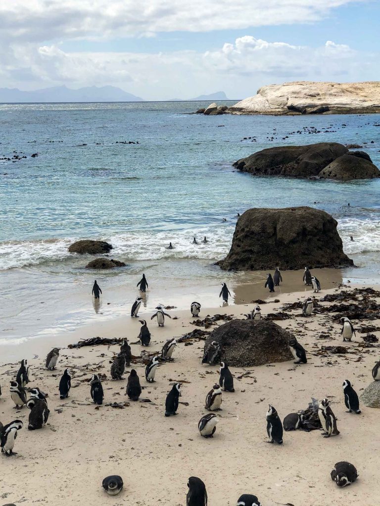 Boulders Beach