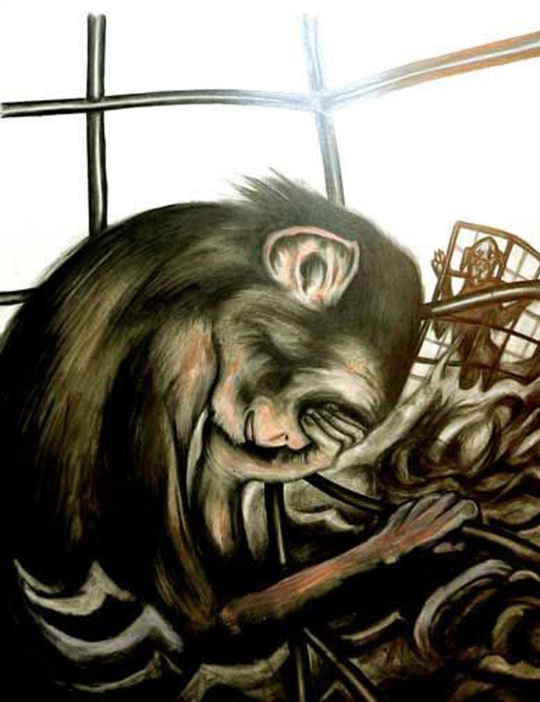 HIV might have crashed into the human race as a result of the monkey trade