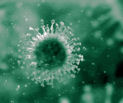 Viruses aren't, strictly speaking, living things