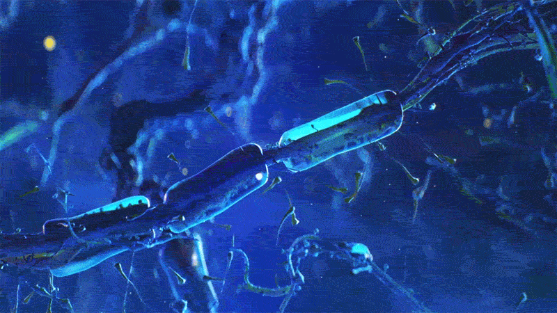 Chaque mémoire que nous conservons dépend d'une chaîne d'interactions chimiques qui relient des millions de neurones les uns aux autres