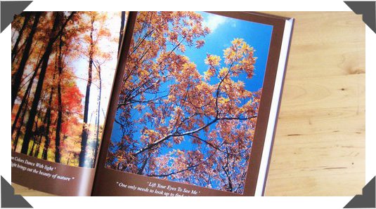 Top Quality Paper Stock in Full Color, Picture Books