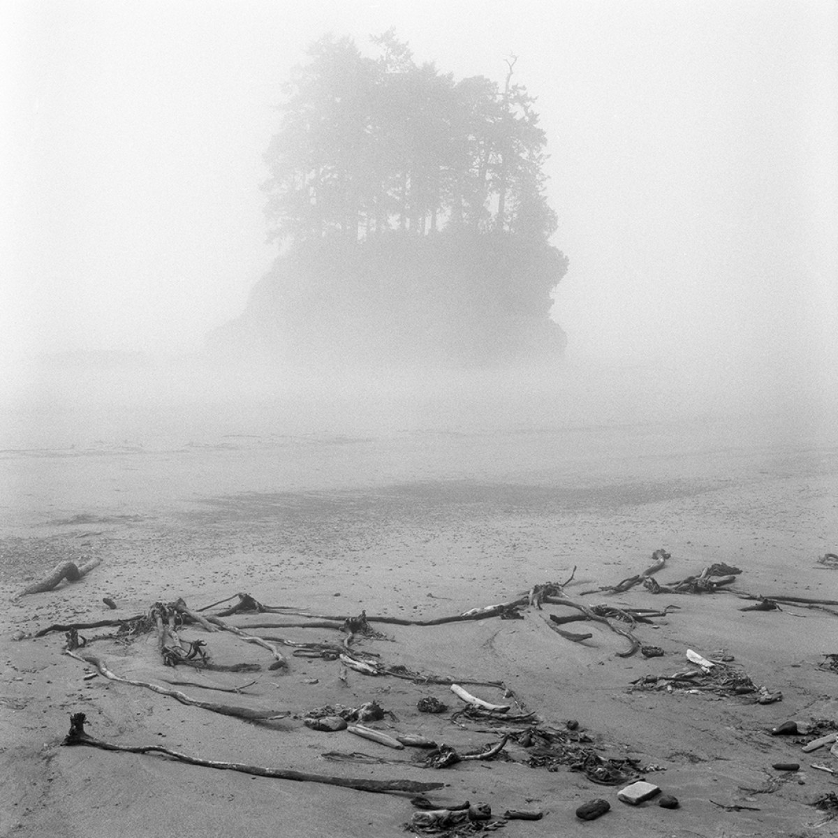 Rollei RPX 400 ISO Film - 120