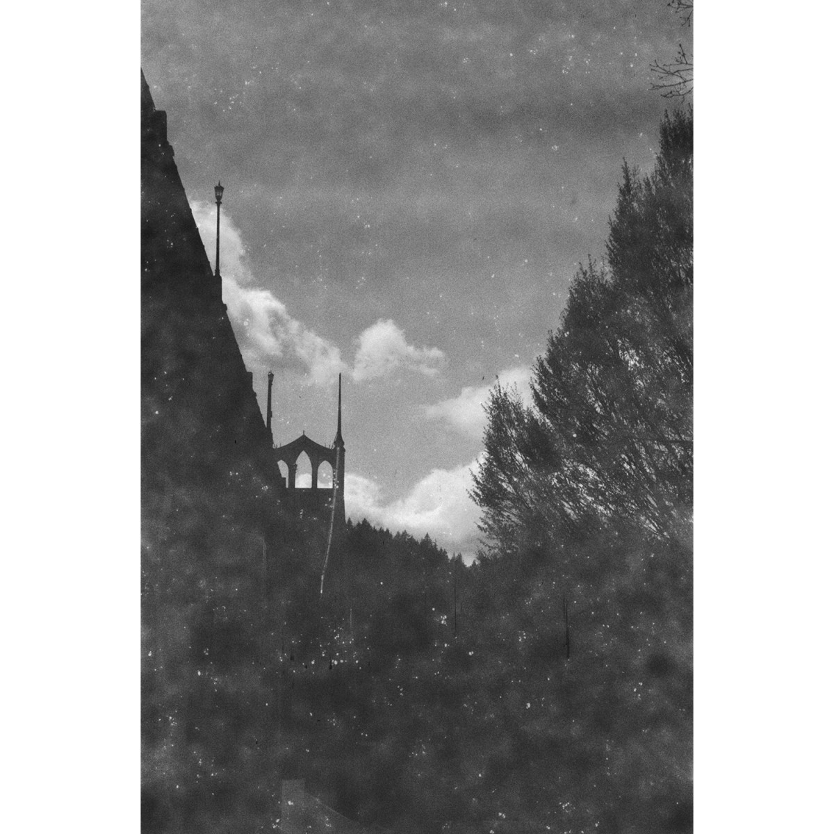 Revolog Paper 400 Black and White Experimental Film - 36 Exposures