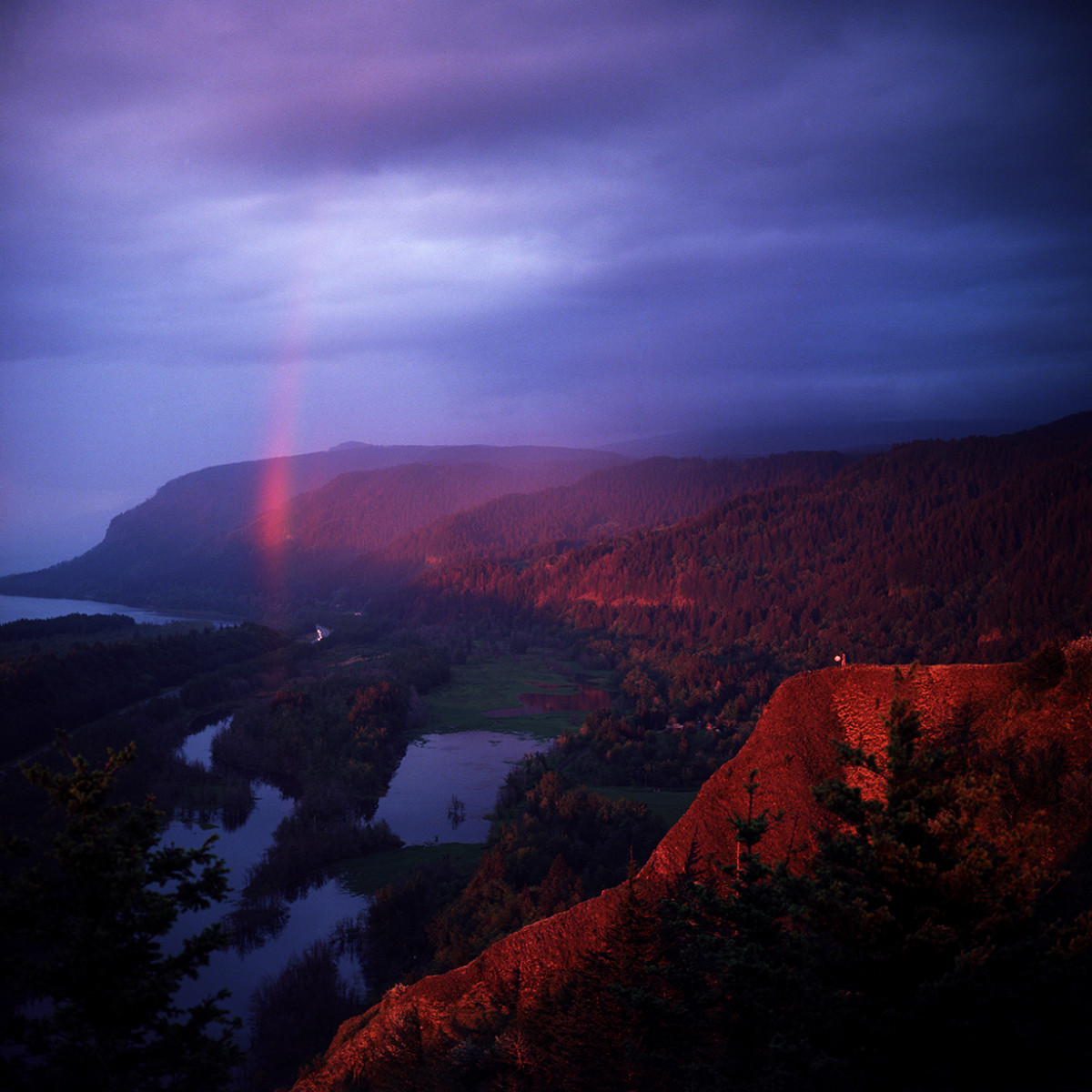 Kodak Ektar 100 Film - 120 Single Roll