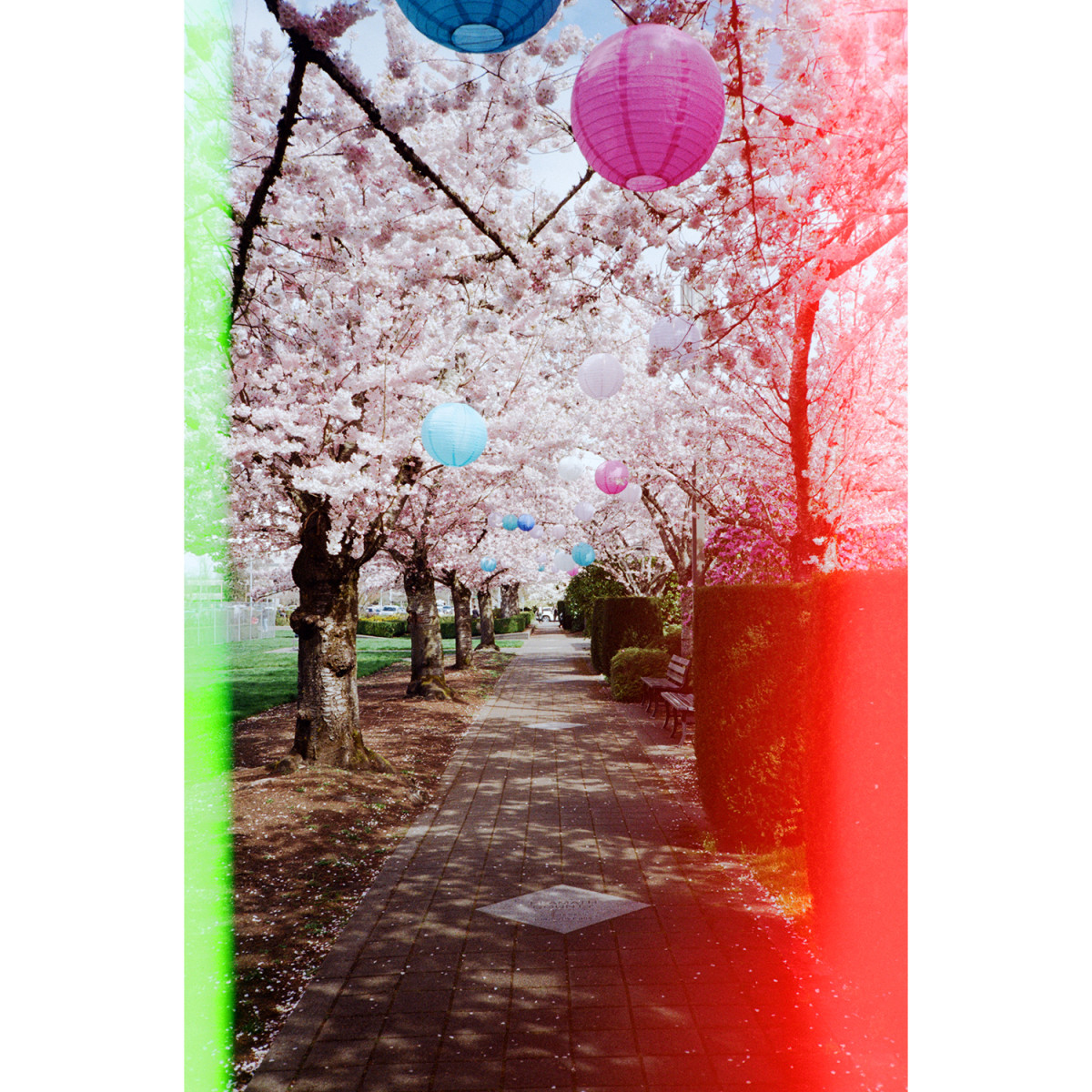 Psychedelic Blues 200 #2 Experimental Film - 36 Exposures
