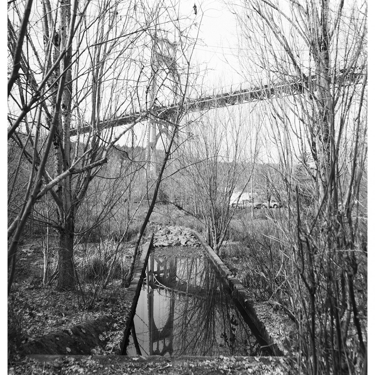 Fomapan 400 Film - 120