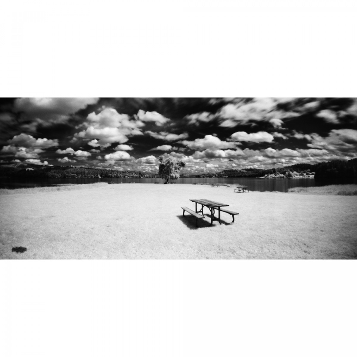 Rollei Superpan 200 ISO 35mm Film - 36 Exposures
