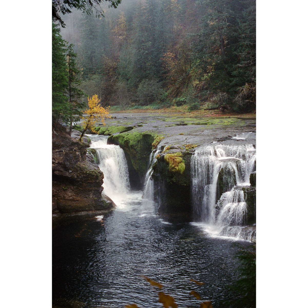 Candido 800 Colour Negative 35mm Film - 36 Exposures