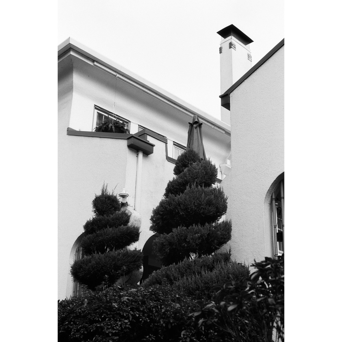 Lomography Earl Grey 100 35mm Film - 36 exposures
