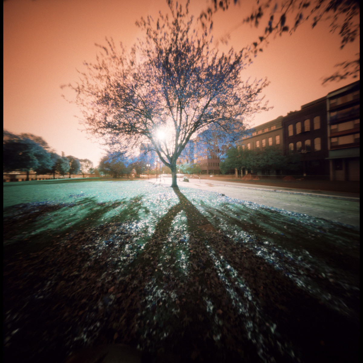 Lomography Lomochrome Turquoise XR 100-400 Film - 120