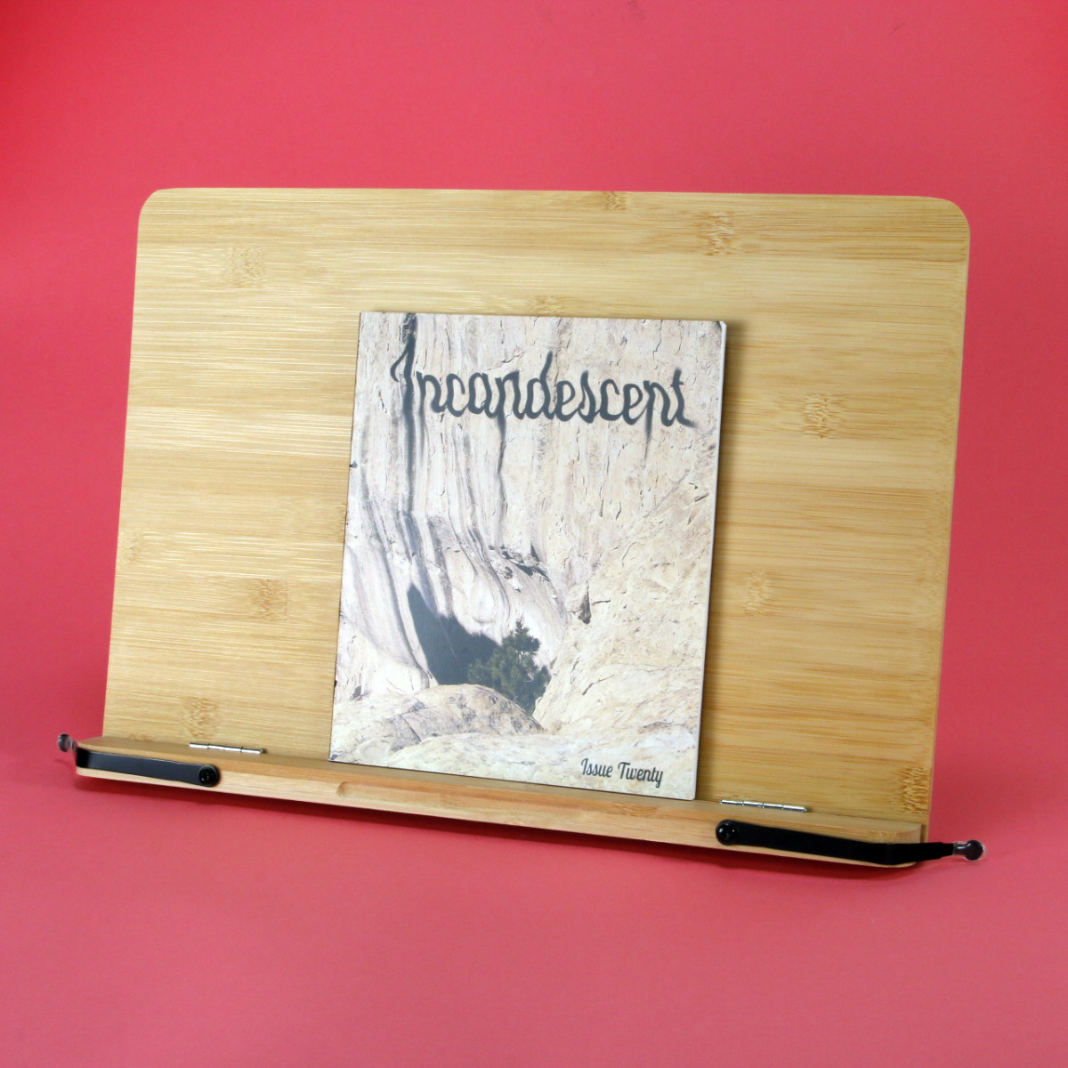 NLA Incandescent - A Color Film Zine Issue 20