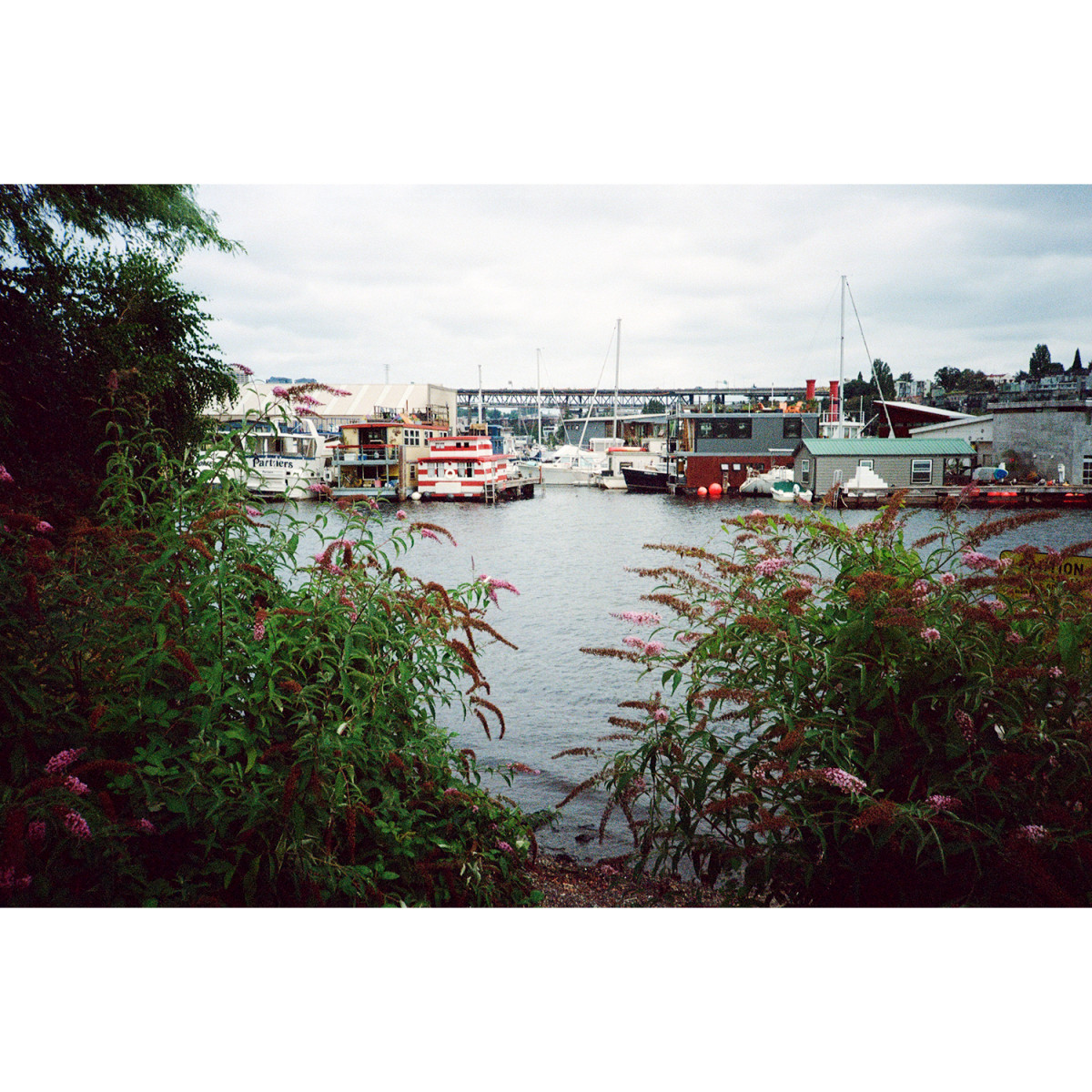 Kodak Portra 800 35mm Film - 36 Exposures