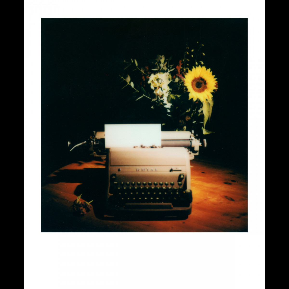 Polaroid Color SX-70 Film - 8 Instant Photos