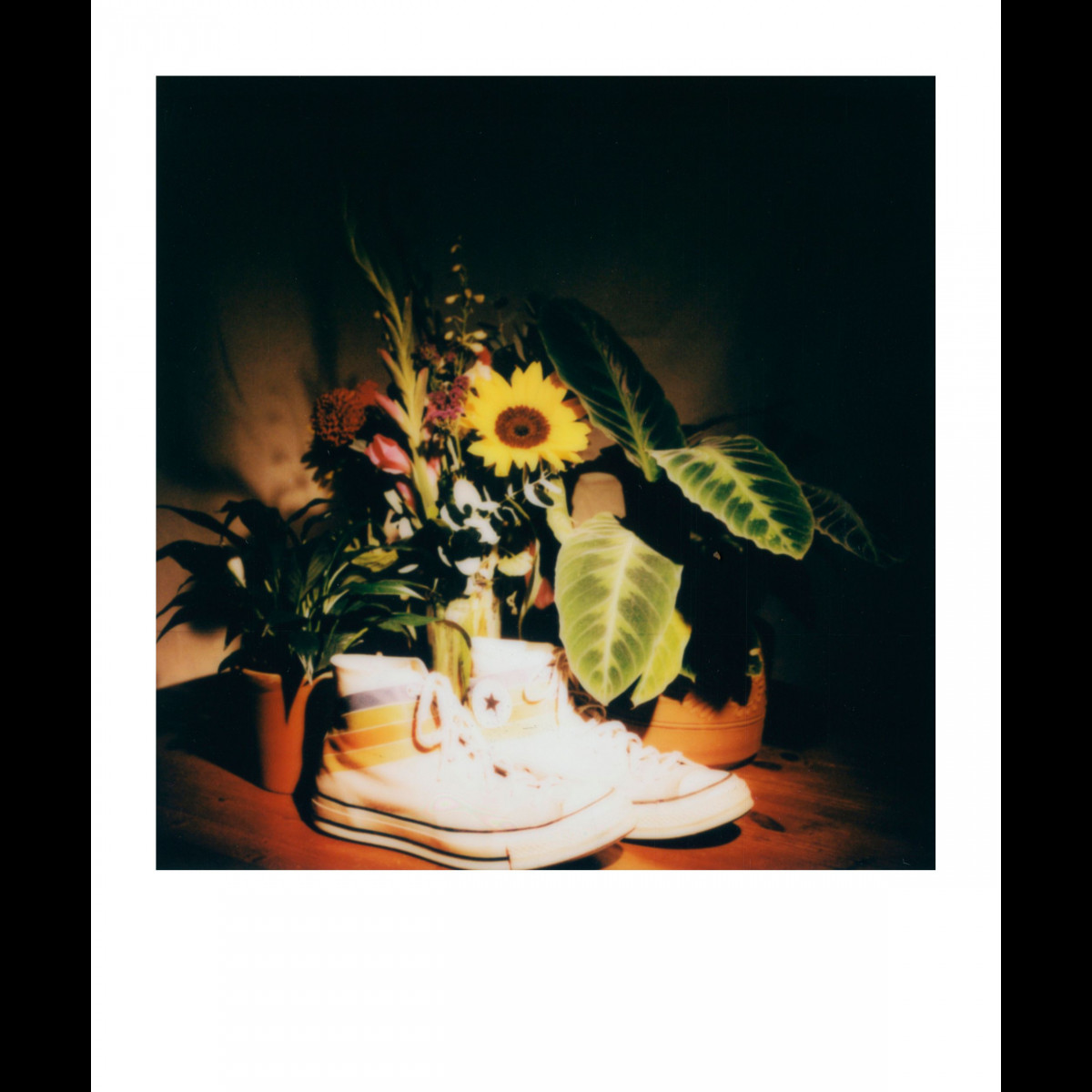 Polaroid Color SX-70 Film - 8 Instant Photos