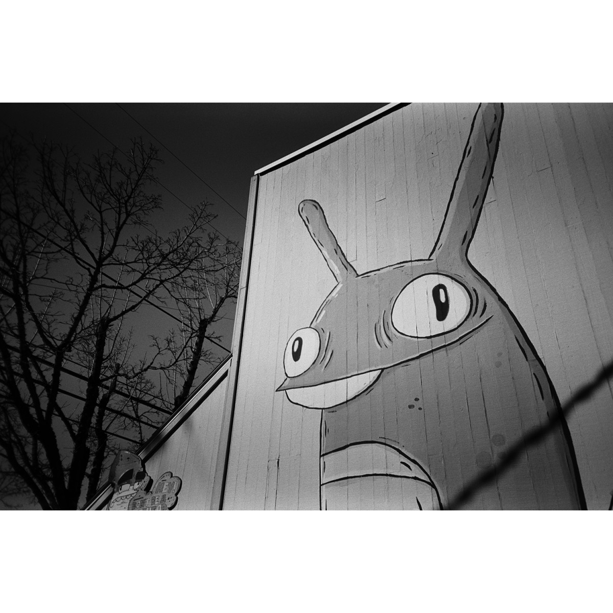 Ferrania P33 Film - 36 Exposures