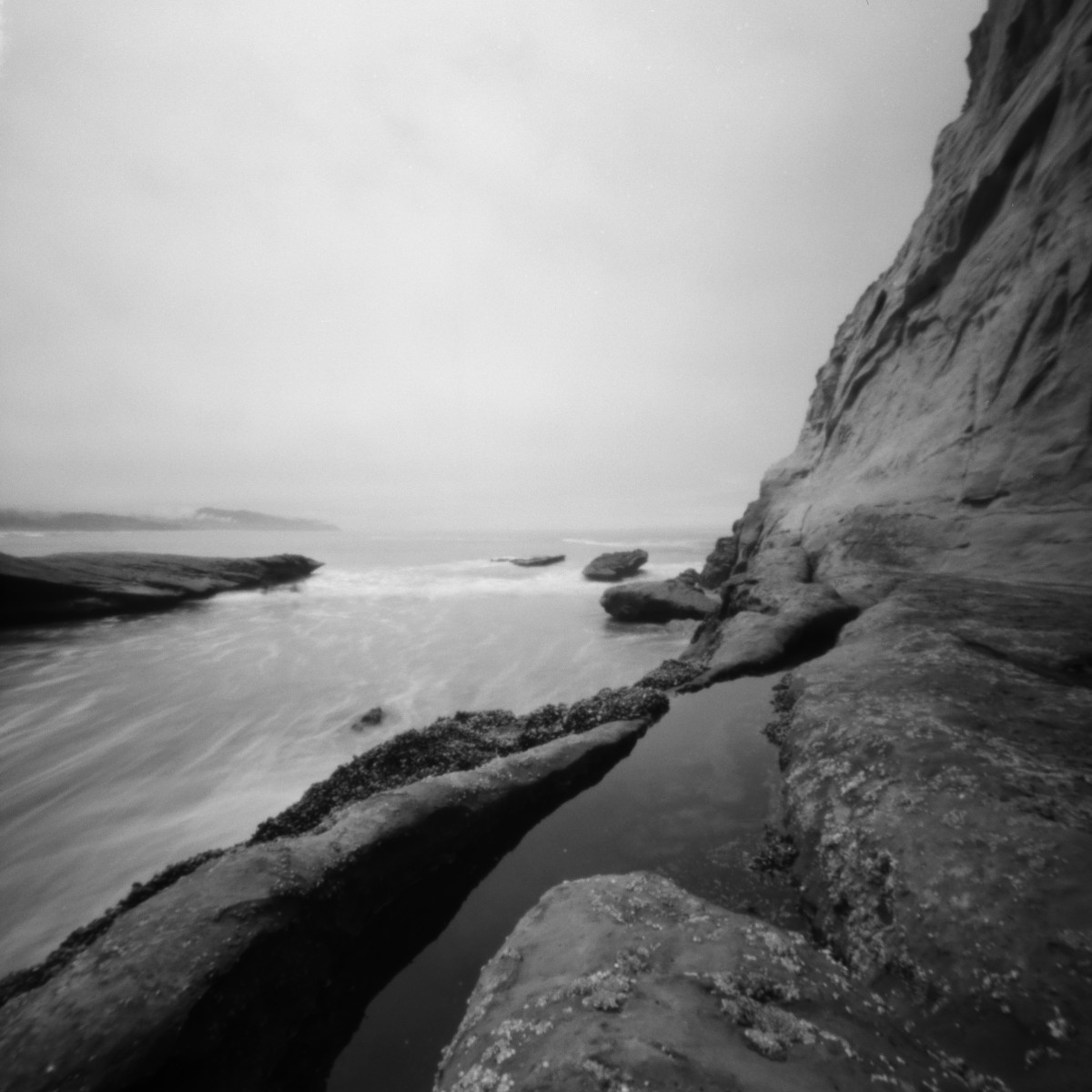 Kentmere Pan 100 Film - 120