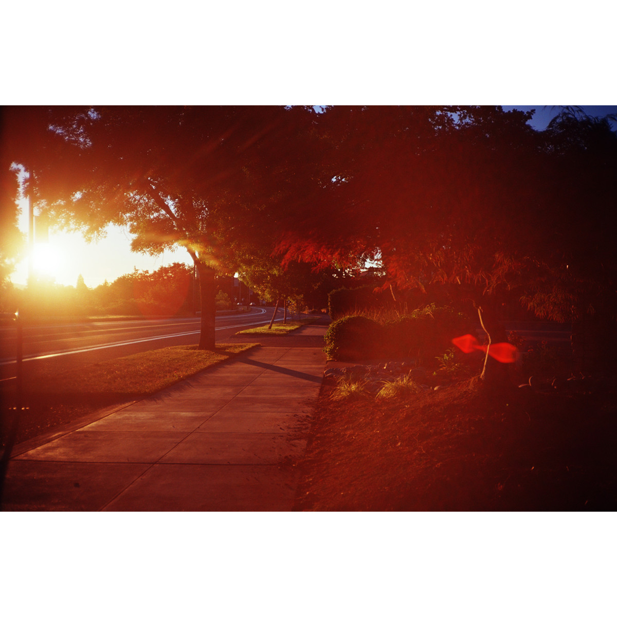 Kodak Ektar 100 35mm Film - 36 Exposures