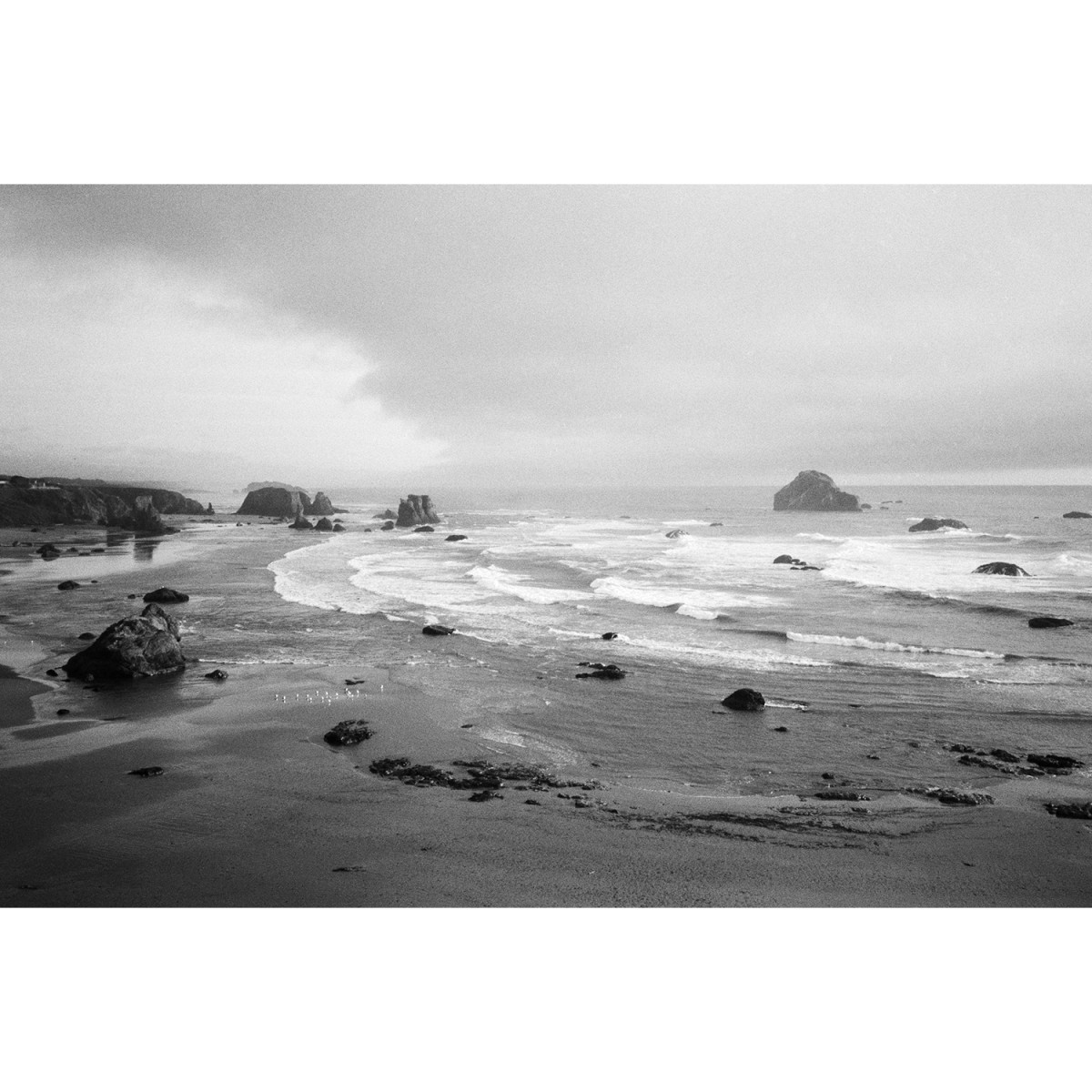 Ilford HP5+ 35mm Film - 24 Exposures