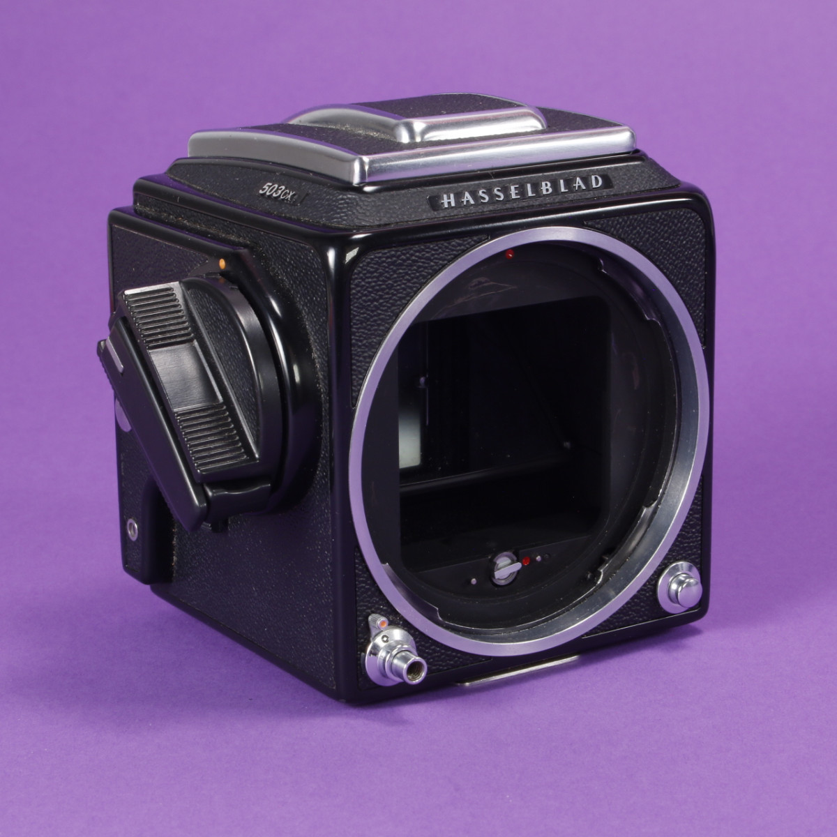 純正品 新品 HASSELBLAD 503cxi body 革 Amazon | TP Original Hasselblad 503CW 503CXI 専用 ブルタイプ