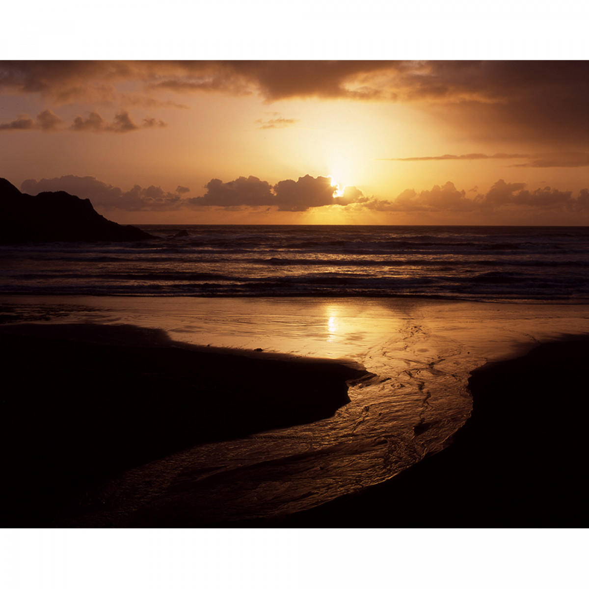 Fuji Provia 100F Film - 120 Single Roll