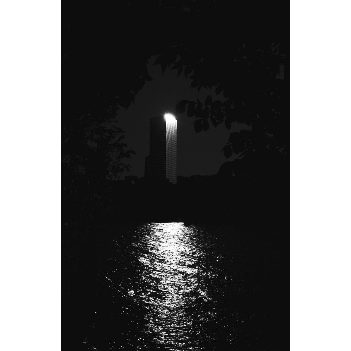 Rollei RPX 25 ISO 35mm Film - 36 Exposures