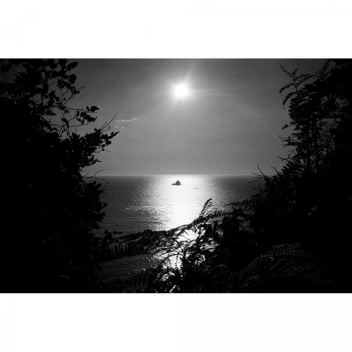 Rollei RPX 100 ISO 35mm Film - 36 Exposures