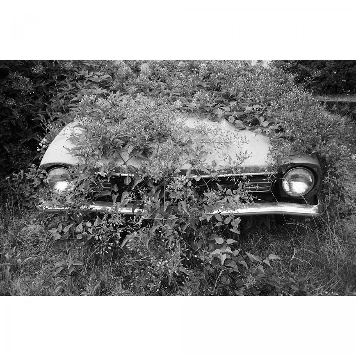 Rollei RPX 100 ISO 35mm Film - 36 Exposures