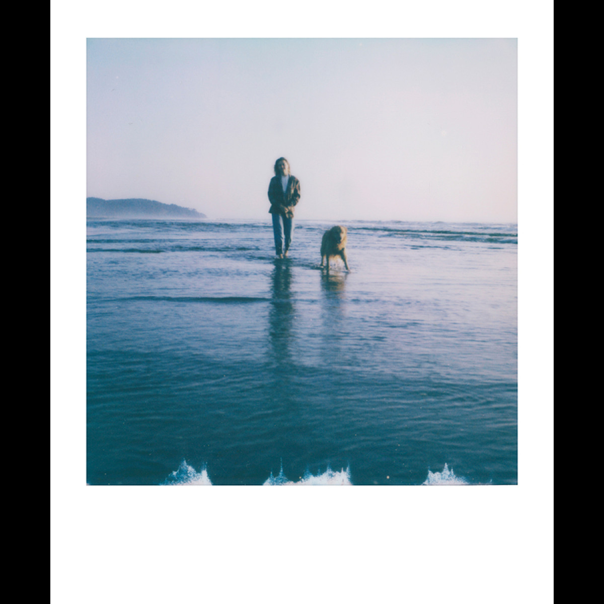 Polaroid Color SX-70 Film - 8 Instant Photos