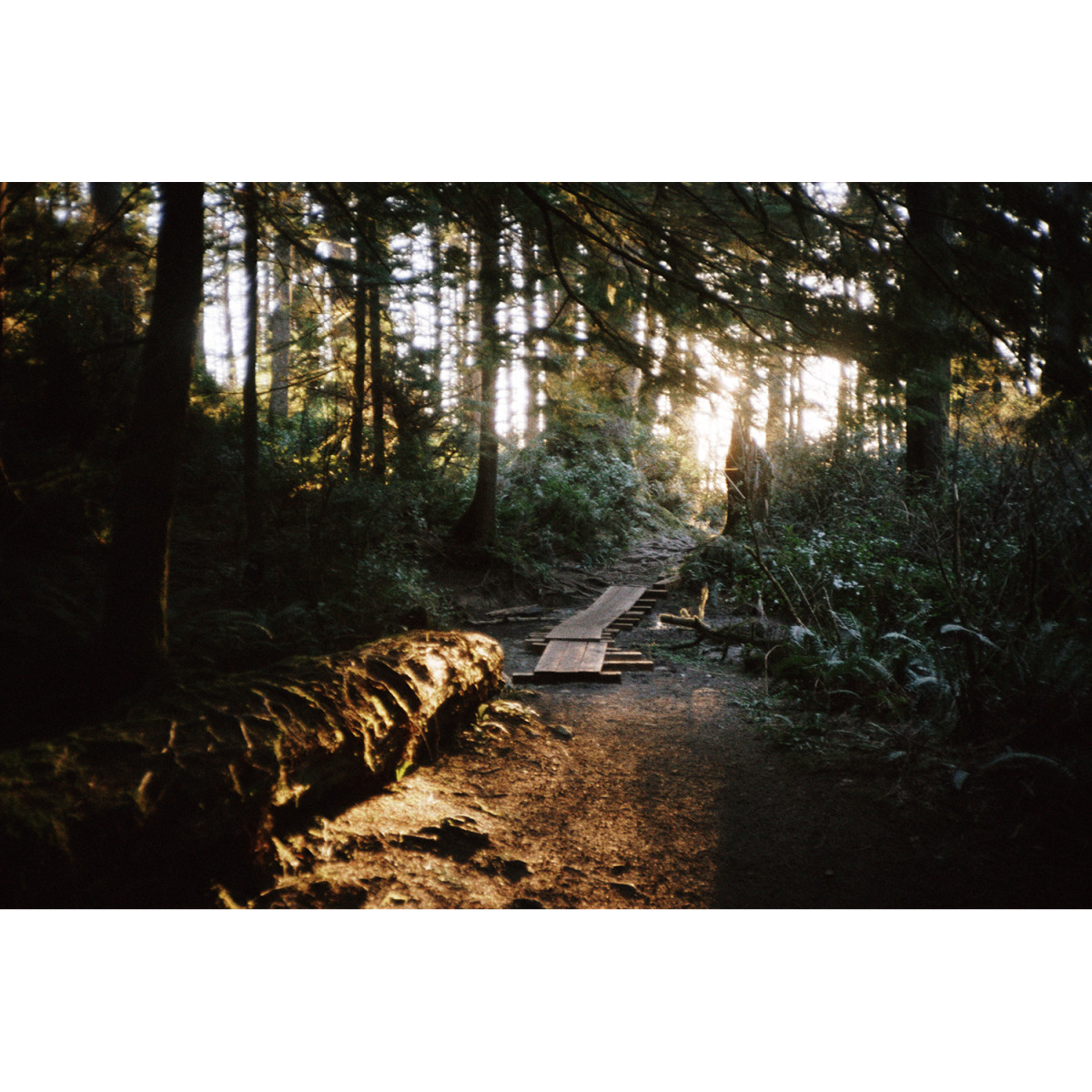 Lomography Lomochrome Color '92 Sun-Kissed ISO 400 Film - 35mm