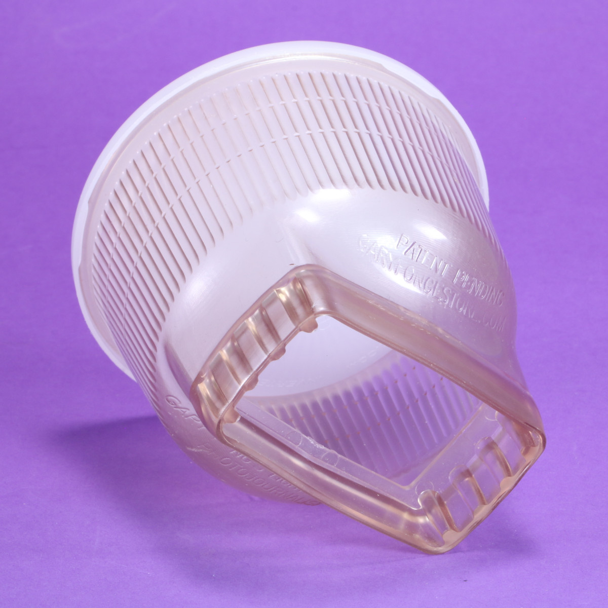Gary Fong Lightsphere II