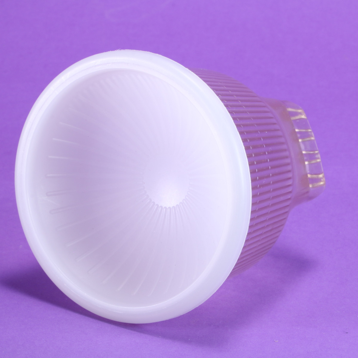 Gary Fong Lightsphere II