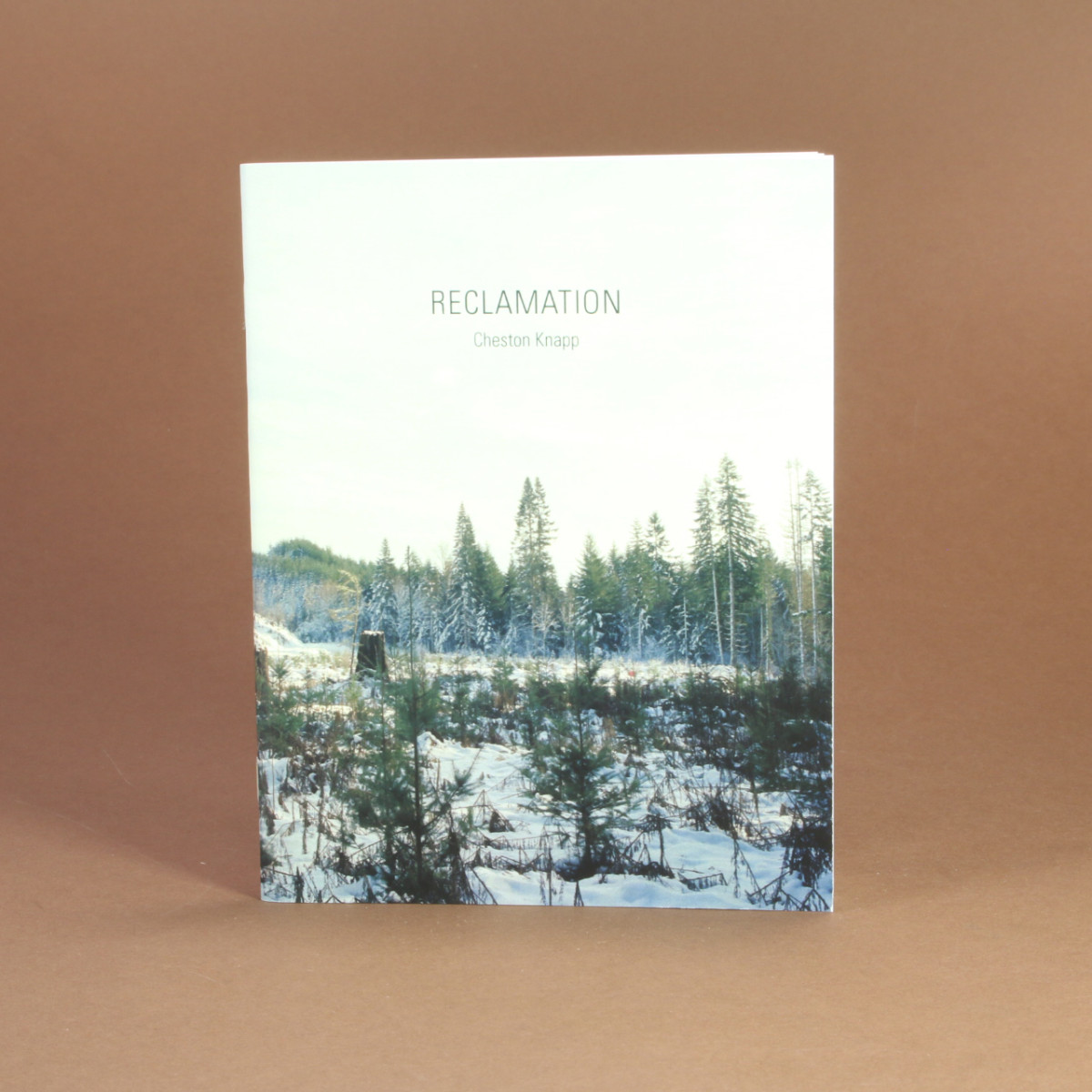 "Reclamation" by Cheston Knapp