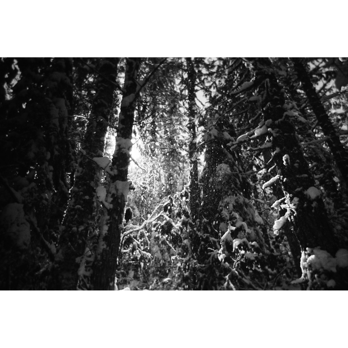 Kodak Tri-X 400 Black And White Single Use Camera