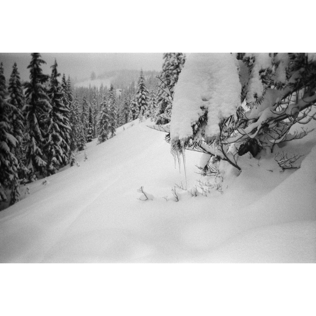 Kodak Tri-X 400 Black And White Single Use Camera