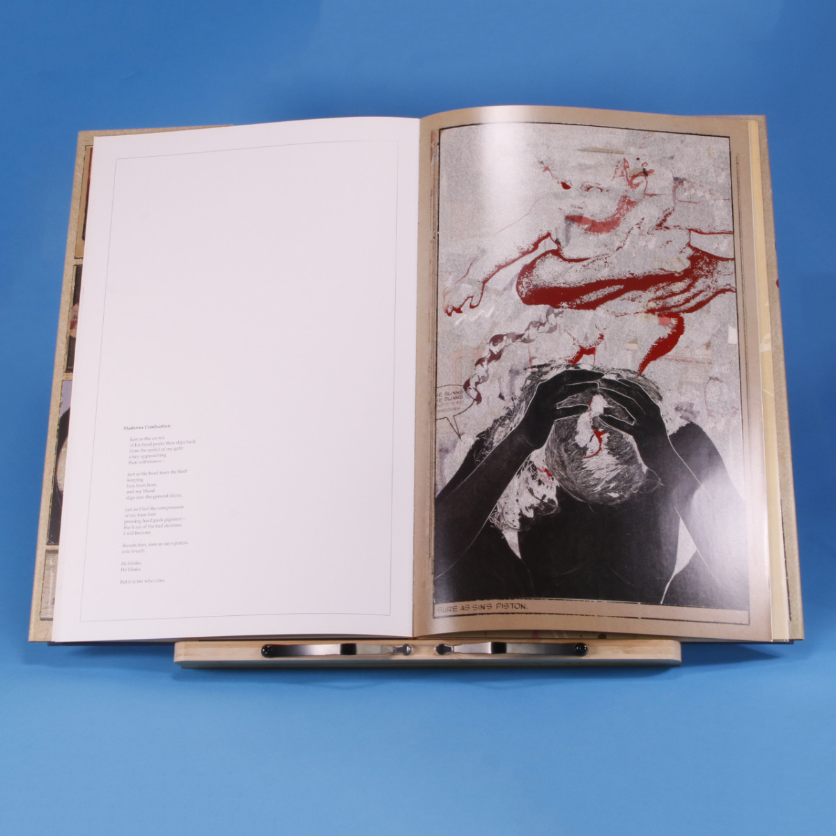 "Madonna Comix" by Dianne Kornberg and Celia Bland