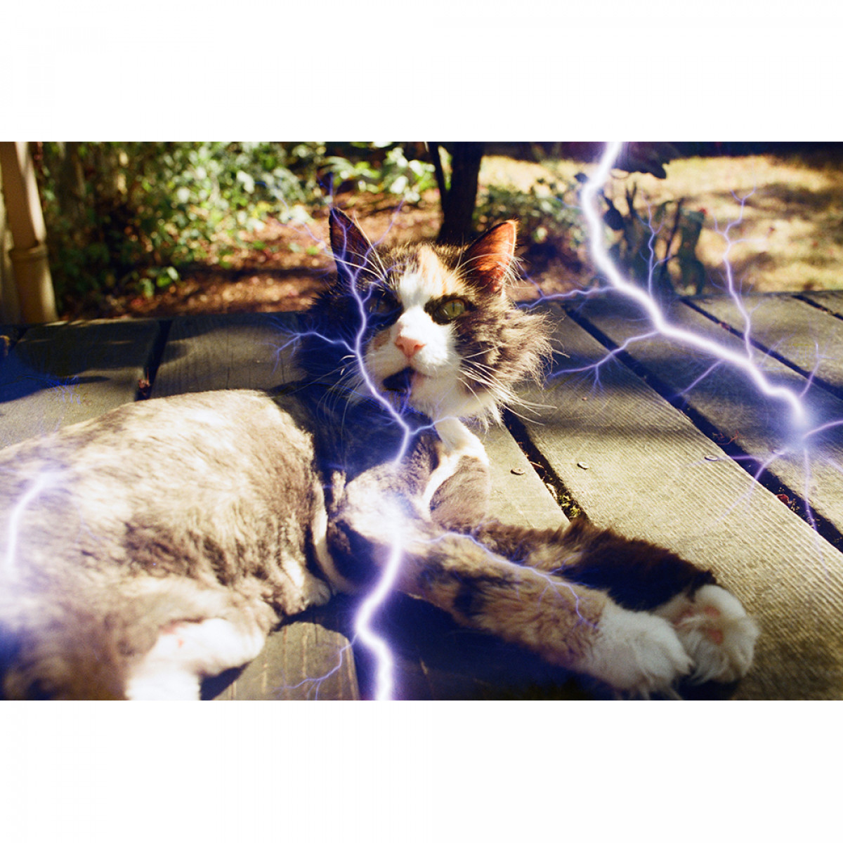Revolog Tesla 1 Experimental Film - 36 Exposures