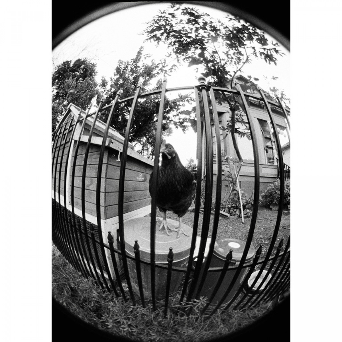 Kodak Tri-X 400 35mm Film - 36 Exposures