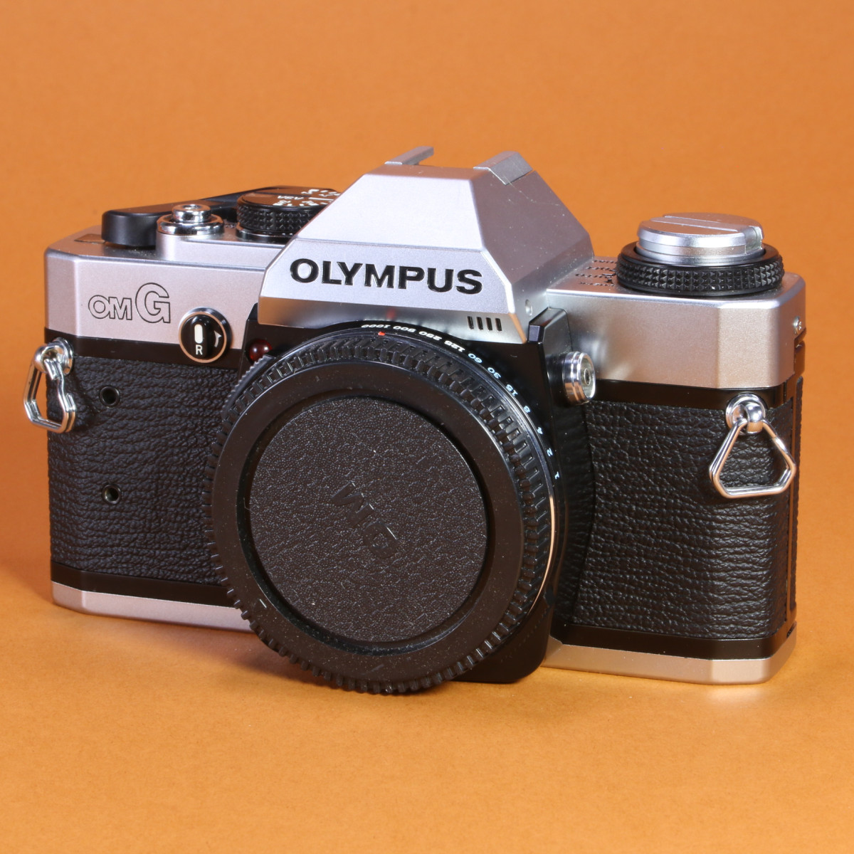 The Olympus OM-1. An underrated tiny giant | by Talya Adams