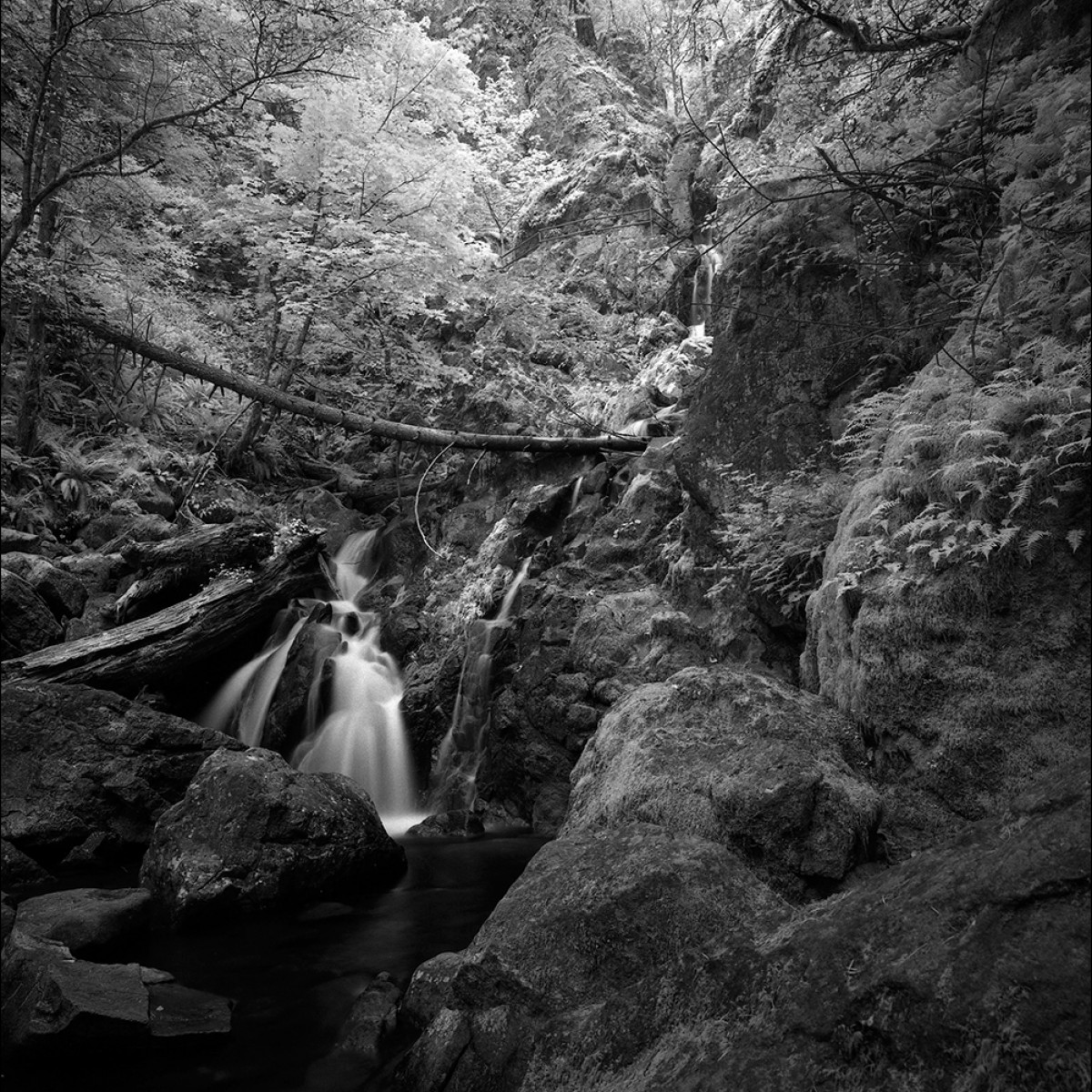 Rollei Infrared 400 ISO Film - 120