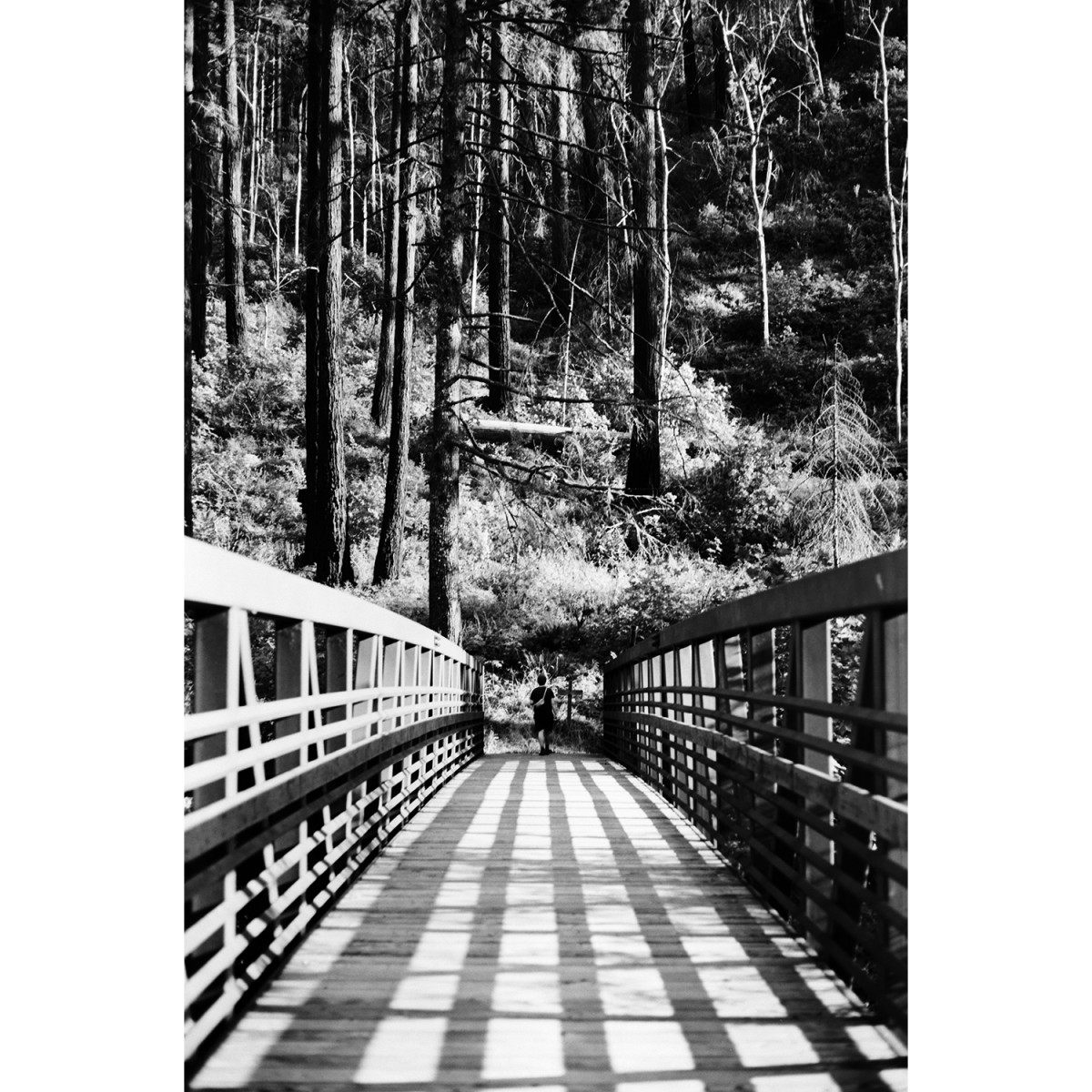 Rollei RPX 25 ISO 35mm Film - 36 Exposures
